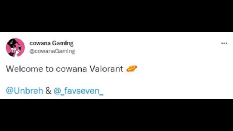 Cowana Gaming podpisał dwóch graczy w Valorant