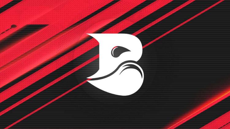 Bleed eSports są zainteresowani zakupem składu Virtus.pro