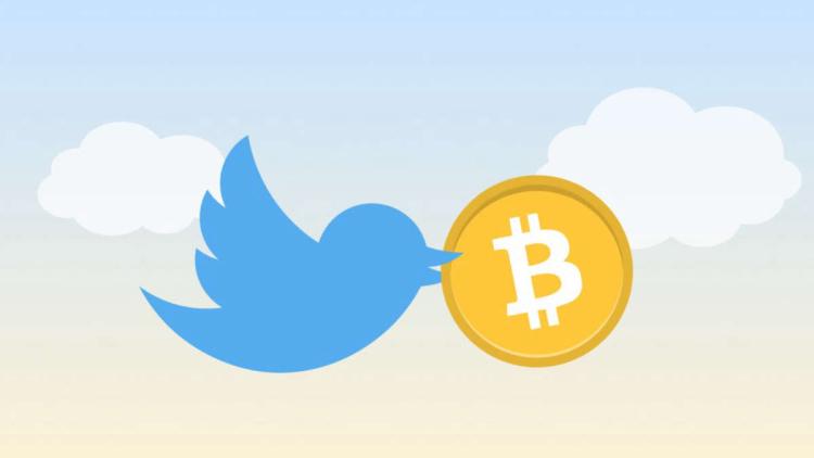 Publiczność Twitter jest bardzo zainteresowana kryptowalutami