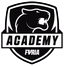 FURIA Academy