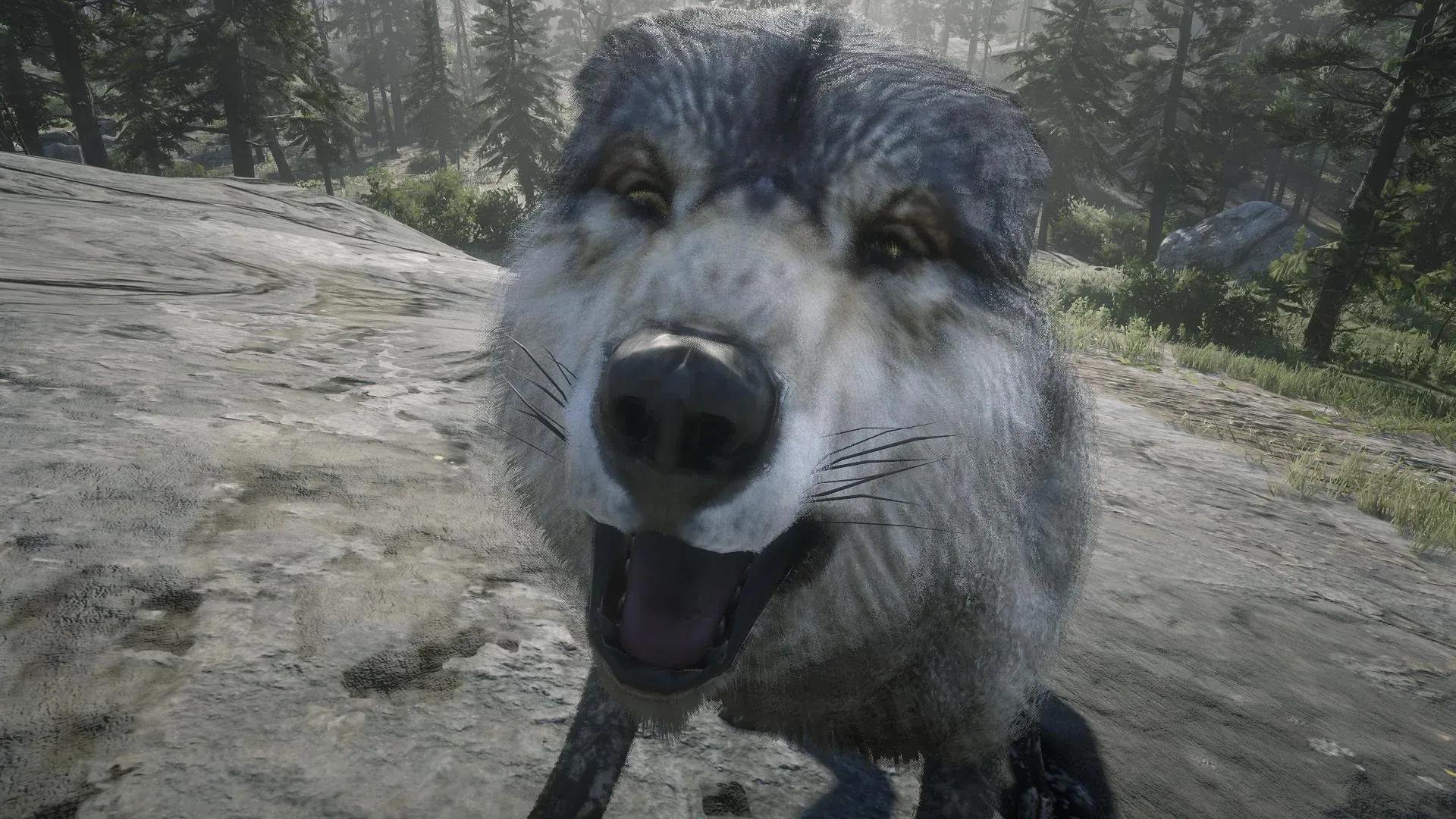 Wolves, Chaos, and the Wild West: Red Dead Redemption 2 Player's Fatal Encounter with the Wolf Man Unleashes Unprecedented Onslaught!