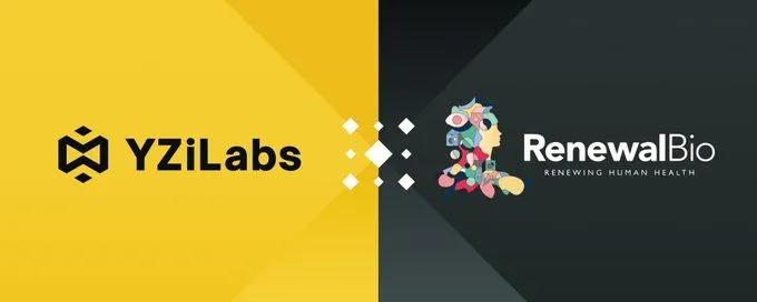 YZi Labs inwestuje w Renewal Bio: Rewolucyjny krok w medycynie regeneracyjnej w celu przezwyciężenia niedoboru narządów