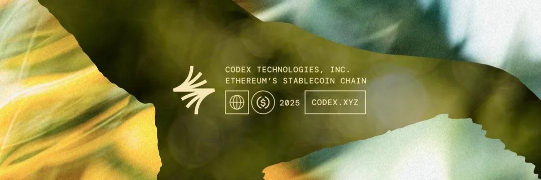 Codex Chain: Nowy gracz w L2