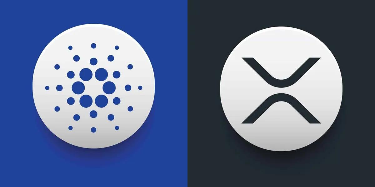 Mike Novogratz ostrzega przed XRP i Cardano