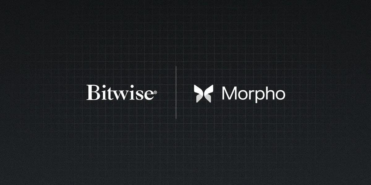 Bitwise uruchamia On-Chain Vault we współpracy z Morpho