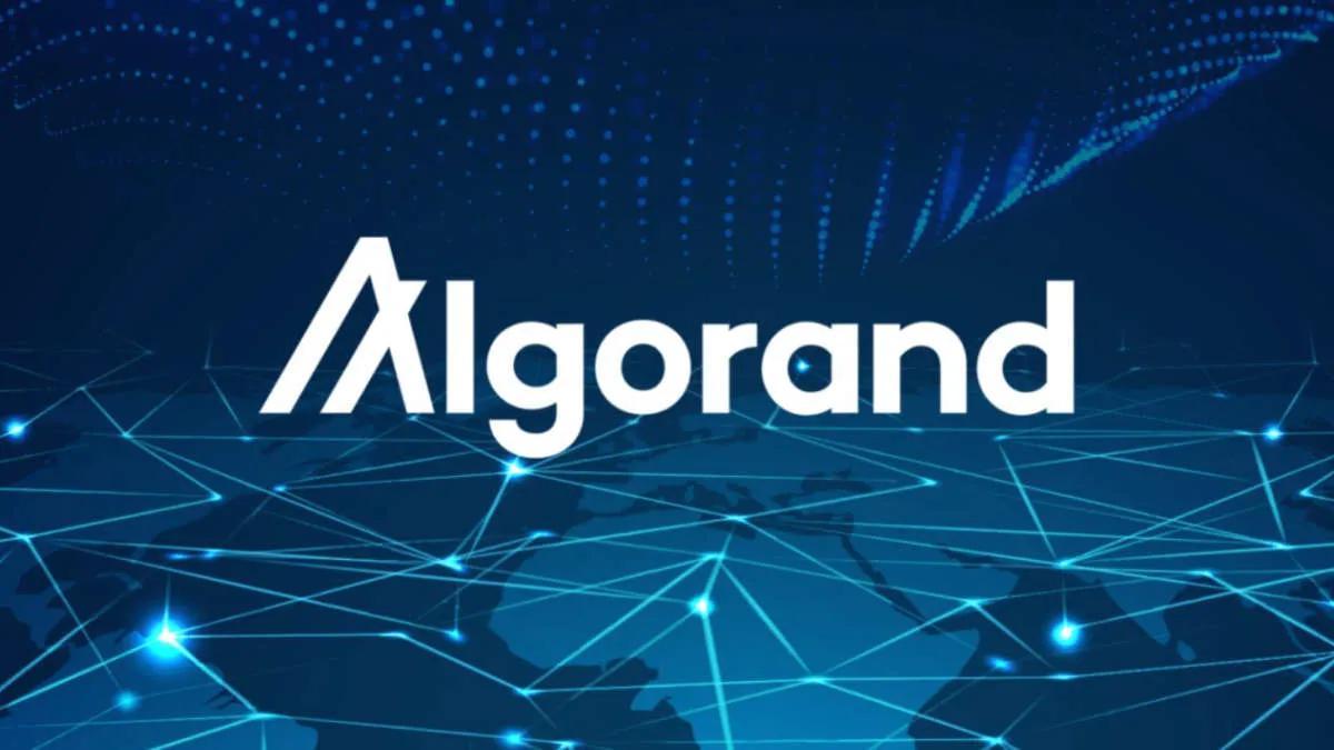 Bank Włoch wykorzysta blockchain Algorand do opracowania „gwarancji cyfrowych”