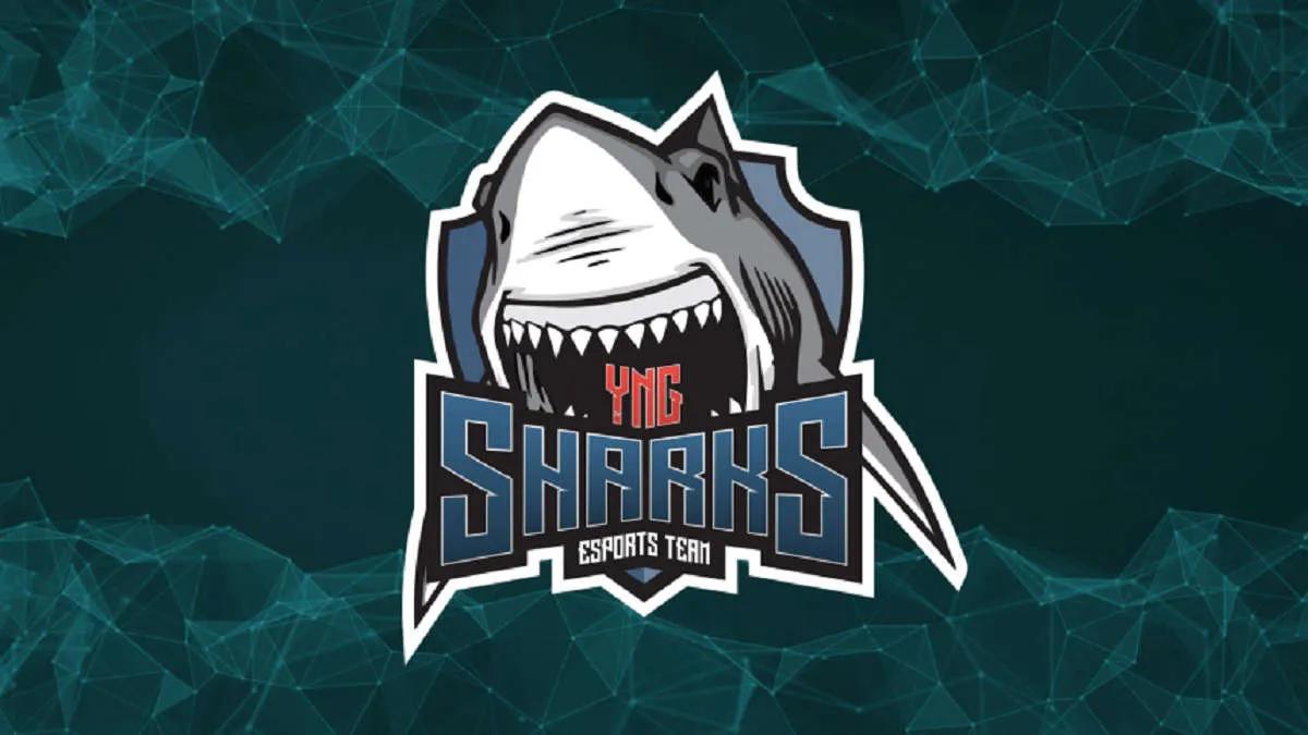 Plotki: rdnzao zostanie nowym graczem Sharks Esports