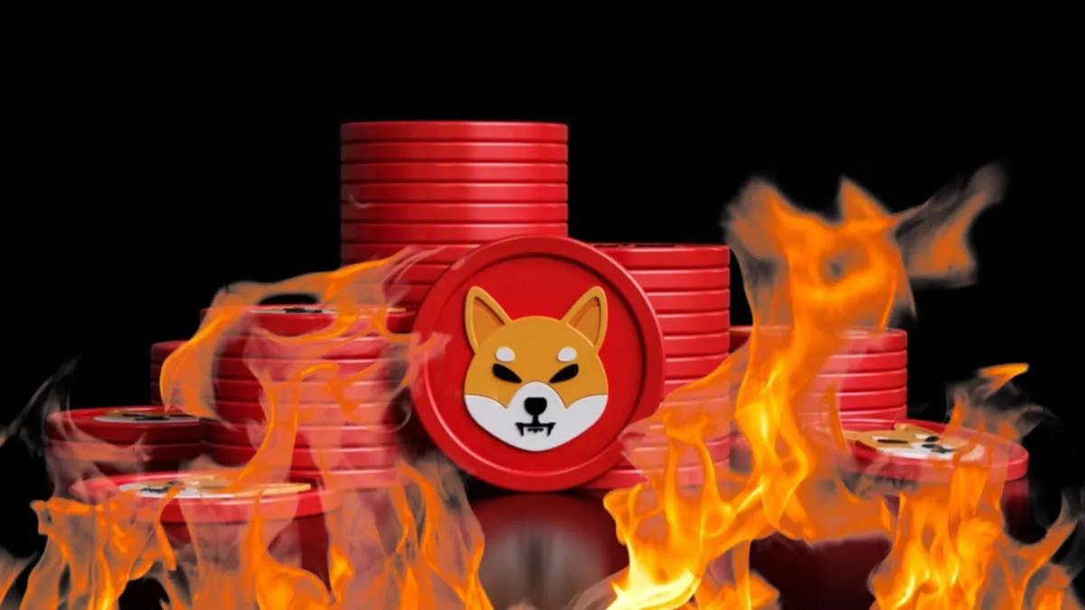W ciągu ostatnich 24 godzin spłonęło ponad 48 000 000 Shiba Inu
