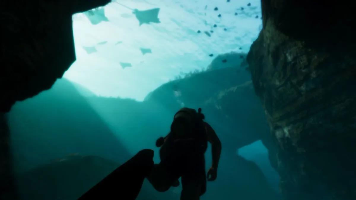W GTA 6 może pojawić się własna wersja Miami Seaquarium