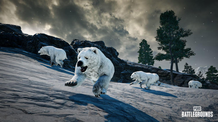 Niedźwiedzie polarne, nowy celownik i zaktualizowany balans broni to lista zmian w łatce PUBG 22.1. Zdjęcie 1