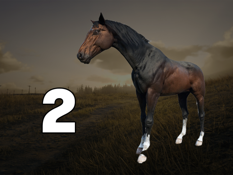 10 najlepszych koni w Red Dead Redemption 2, ranking według wydajności 9