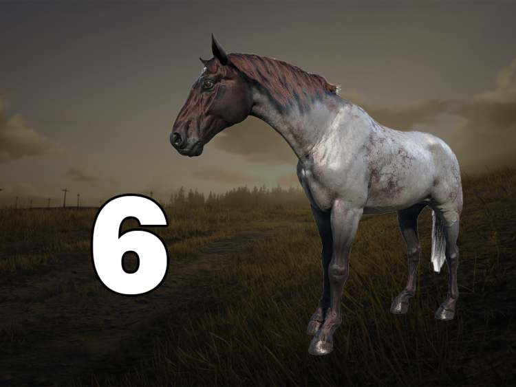 10 najlepszych koni w Red Dead Redemption 2, ranking według wydajności 5