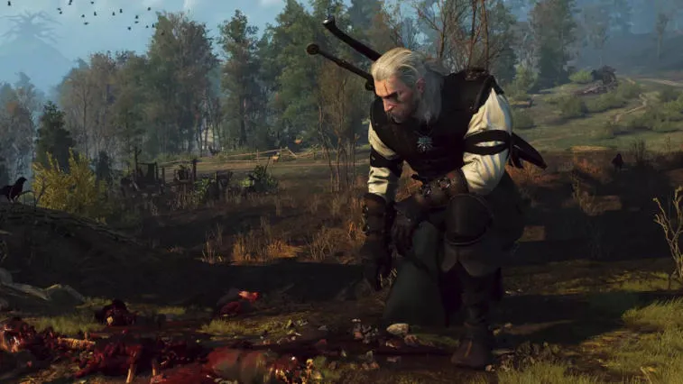 The Witcher 3 Patch 4.04: Enhanced Grass, Bug Fixes, and Nintendo Switch Features. Photo 1